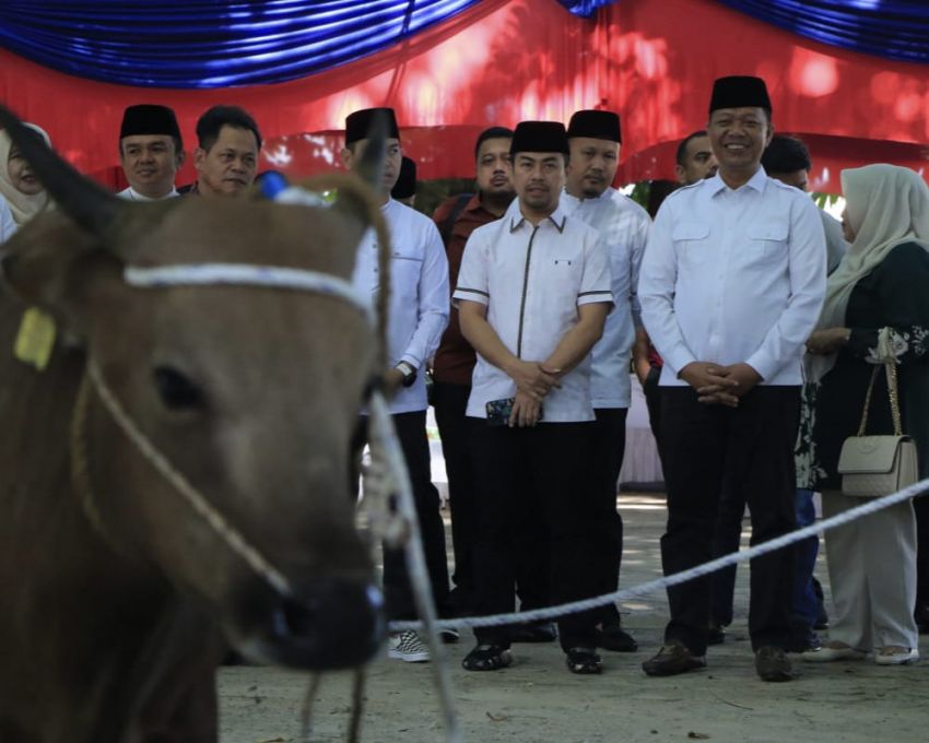 Pj Wali Kota Pekanbaru, Risnandar Mahiwa Saksikan Langsung Pemotongan Hewan Kurban