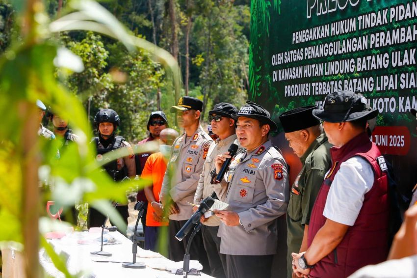 Ungkap Praktik Bagi Hasil Lahan Hutan Lindung, Polda Riau Akan Lakukan Penegakan Hukum Secara Tegas