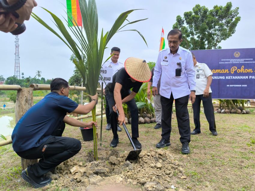 Perkuat Ketahanan Pangan, Rutan Pekanbaru Tanam 1.905 Bibit Kelapa