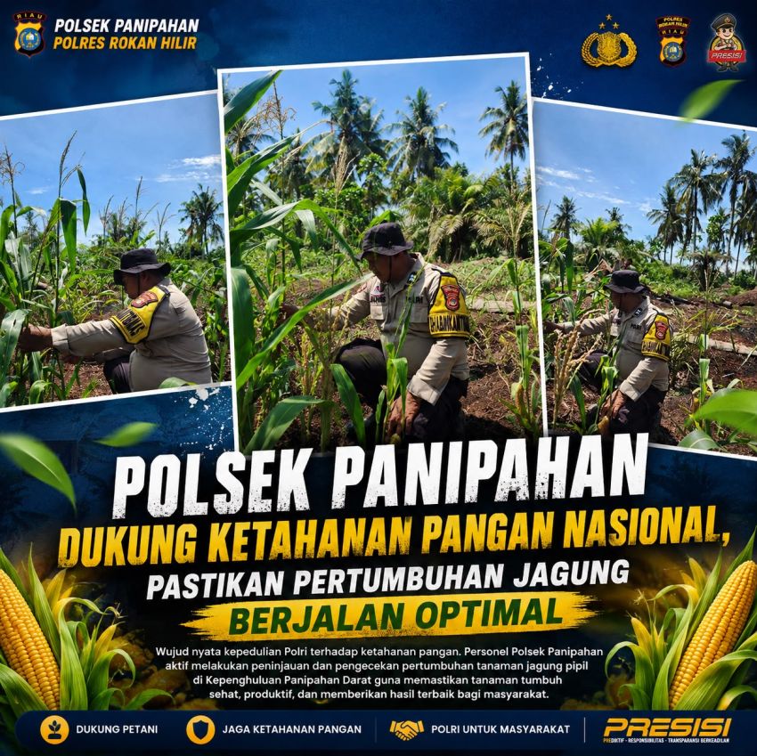 Dukung Ketahanan Pangan Nasional, Polsek Panipahan Pastikan Pertumbuhan Jagung Optimal